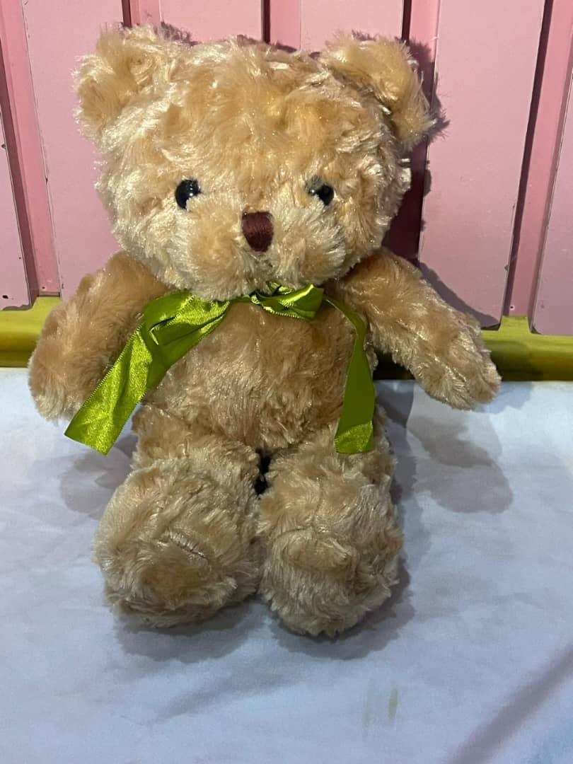 Teddy 6