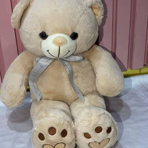 Teddy 1